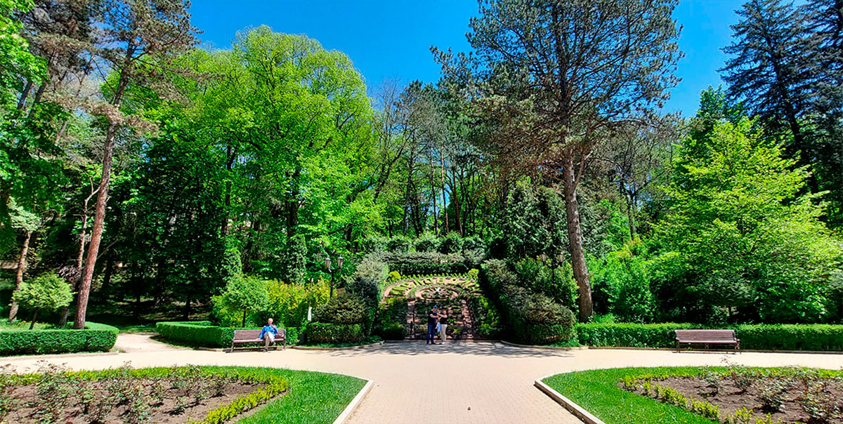 Шикарные аллеи парка Кисловодск парк Курортный весна