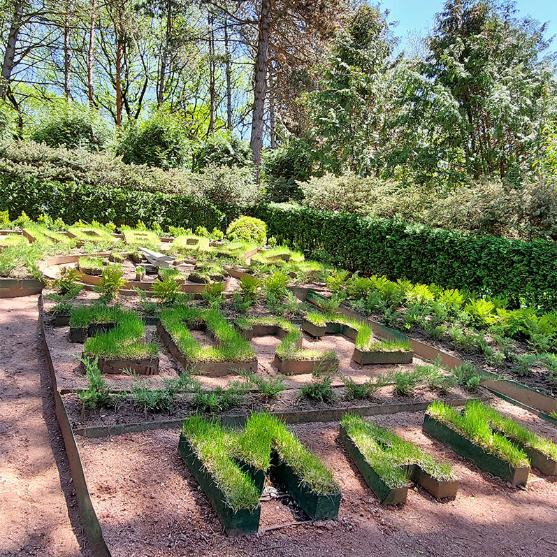 Май 2022 Кисловодск Цветочный календарь фото