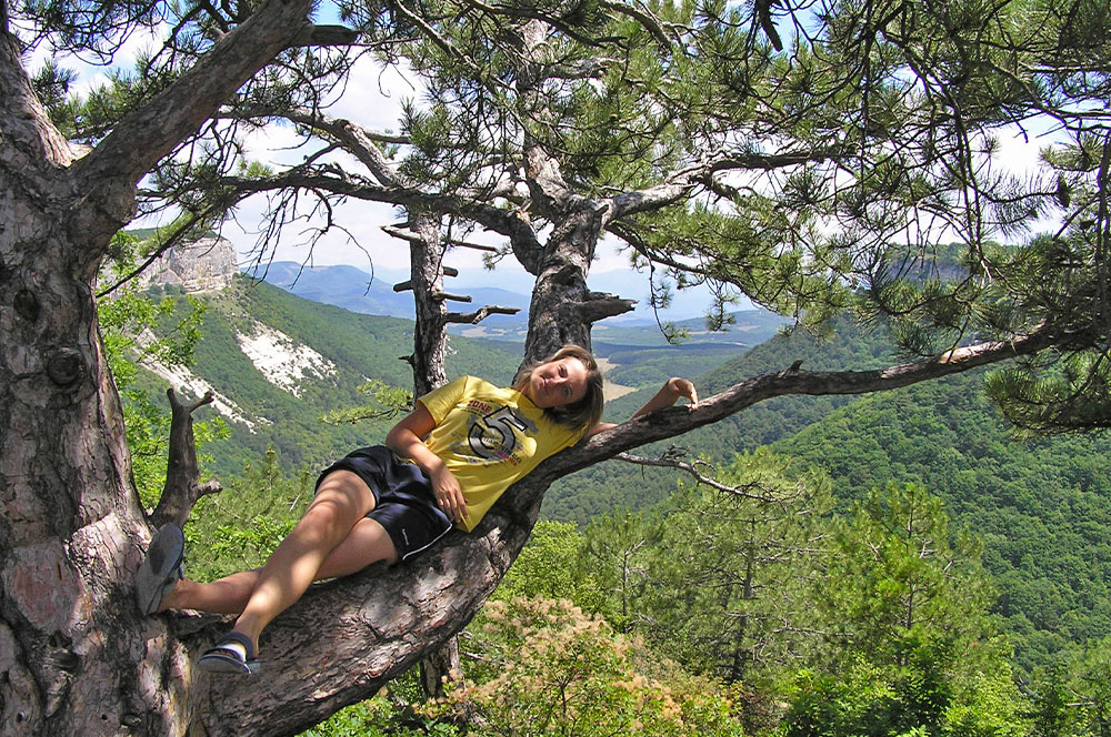 Крым сосна турист лежит