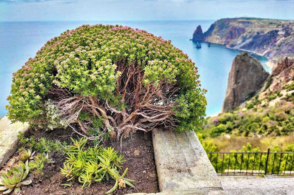 Крым Черное море мыс Фиолент экскурсия