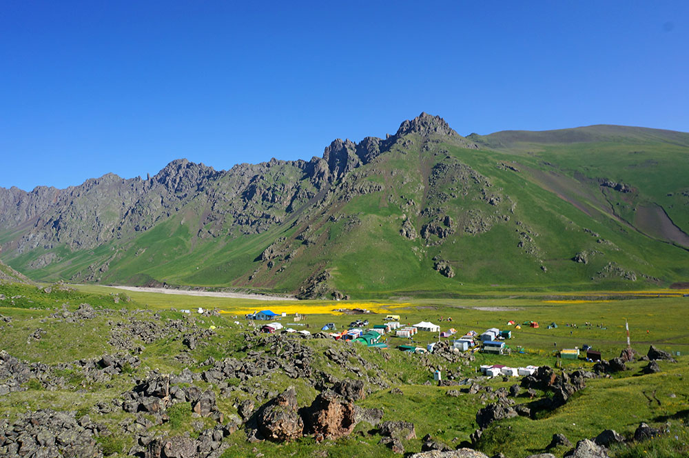 Поляна Эммануэля гора Корона желтые лютики лагерь