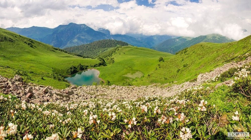 Архыз озеро Любви цветущие рододендроны