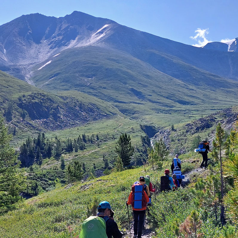 Спустя каждые 200-300 метров набора высоты пейзаж меняется Алтай Кедровые стоянки тропа