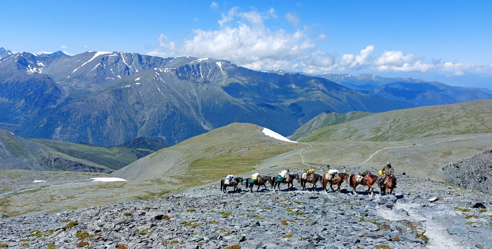 Этой же тропой поднимаются лошади Кедровые стоянки лошади перевал