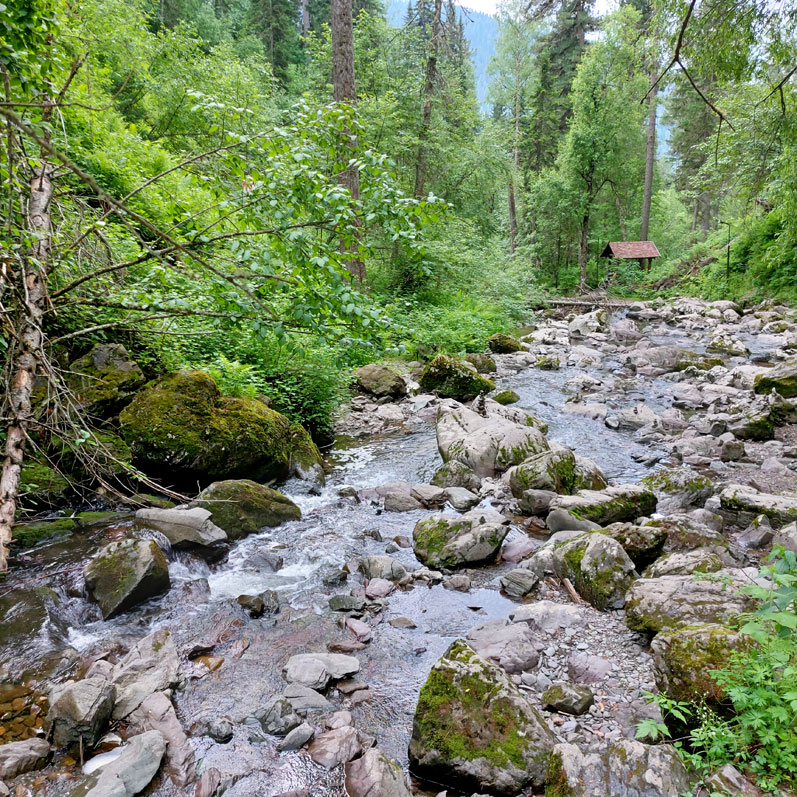 Речка не глубокая Алтай река Тевенек фото