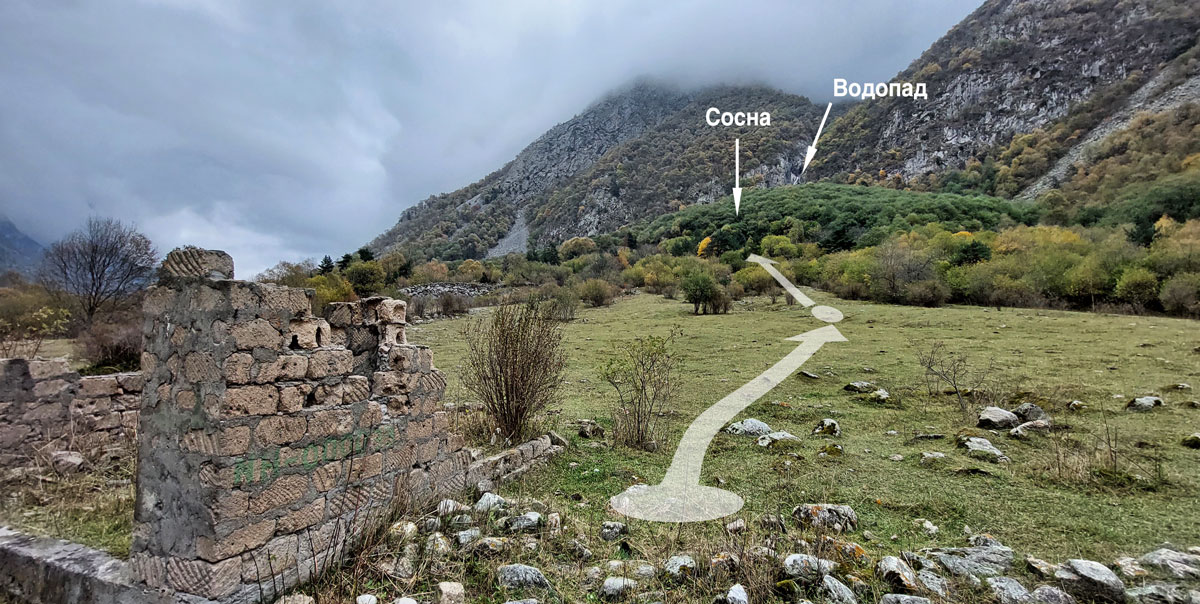 Балкария лес горы