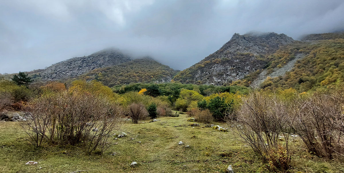 Балкария лес горы осень