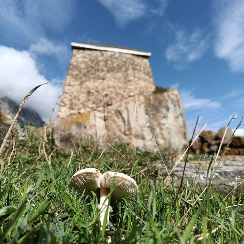 Фото башни Балкария