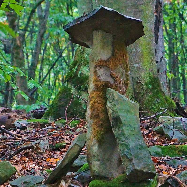 Лесо-Кяфарь грибы каменные