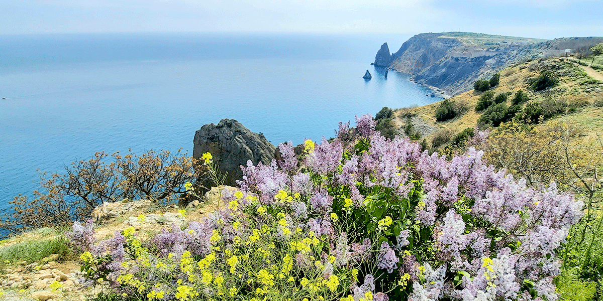 Мыс Фиолент море цветы