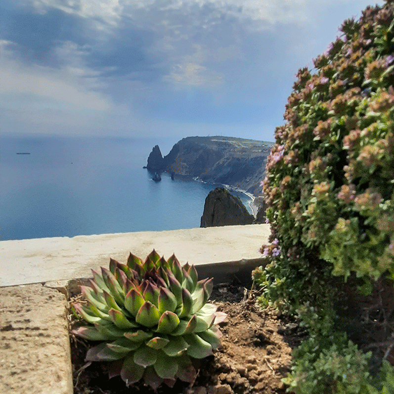 Крым Каменная роза мыс Фиолент