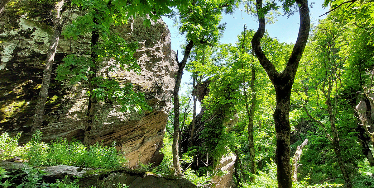 Селитряные скалы: между небом и землёй Железноводск Селитряные скалы