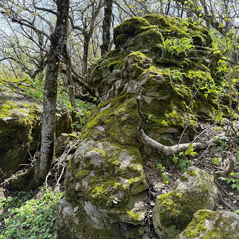 Отличное место для прогулки на выходной! Железноводский парк Селитряные скалы