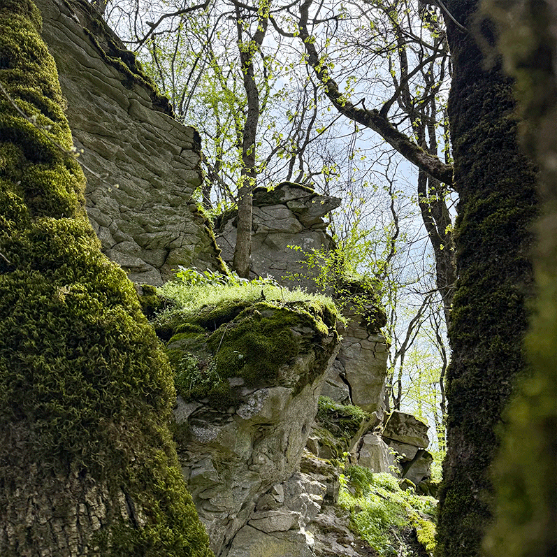 Где время высечено в камне Селитряные скалы фотография
