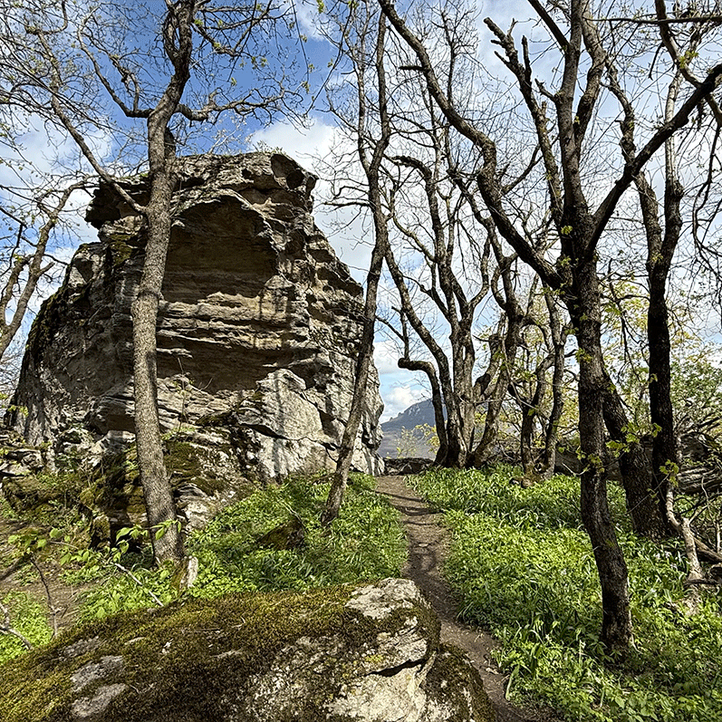 Железноводские исполины Железноводск парк скалы