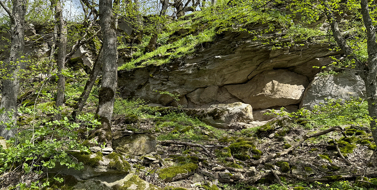 Каменные волны Селитряных скал Селитряные скалы пласты породы