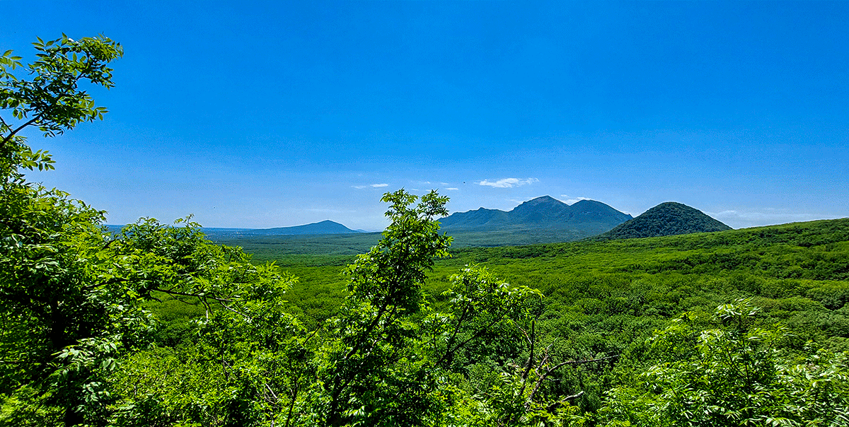 Зеленое море под ногами Селитряные скалы Бештау Железная