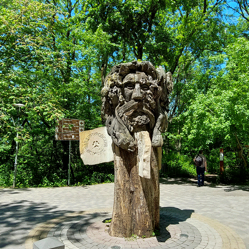 Указатель в парке Железноводска Железноводский парк деревянный указатель Дед фото