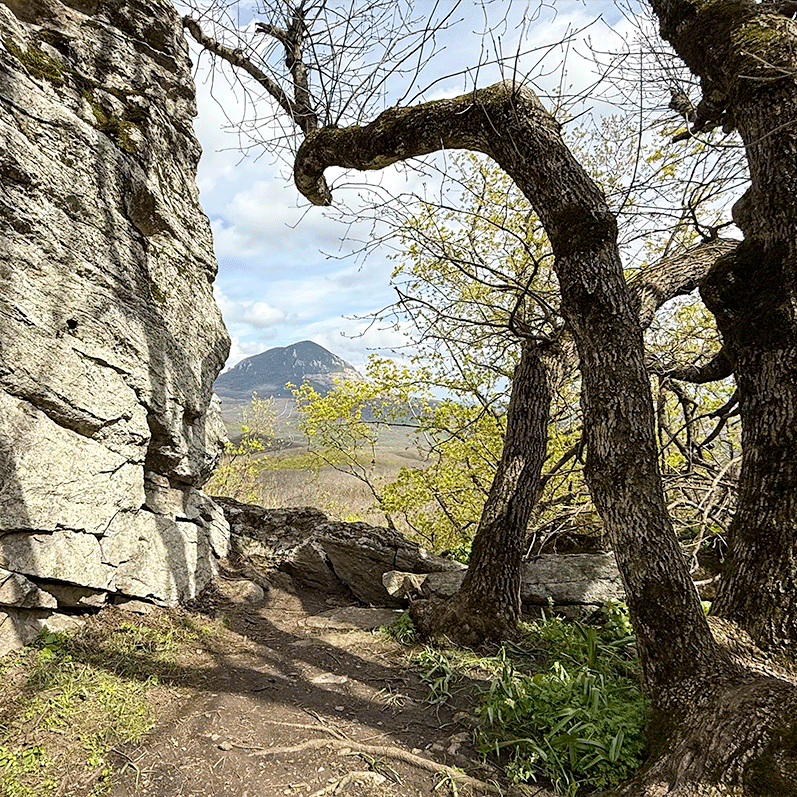 Смотровая на гору Змейка Гора Змейка смотровая