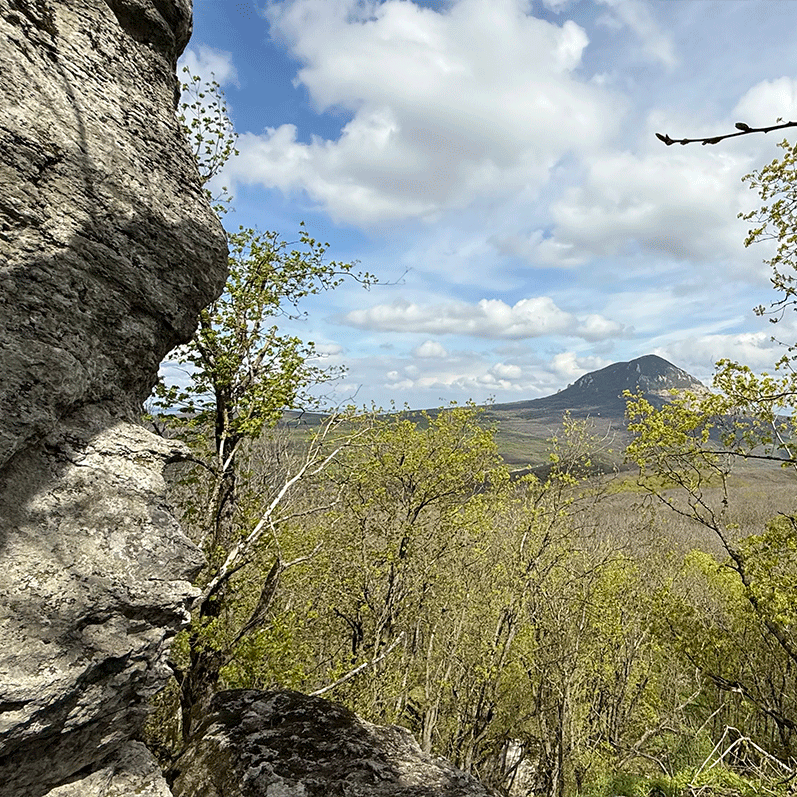 Подойдем поближе! Гора Змейка смотровая фото