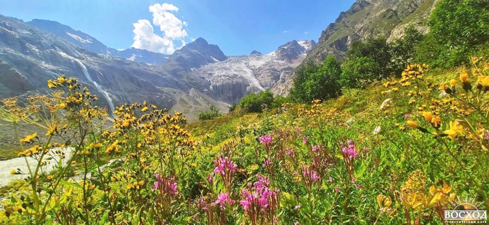 Альпийские луга Осетия фото