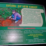 Ущелье Джамагат