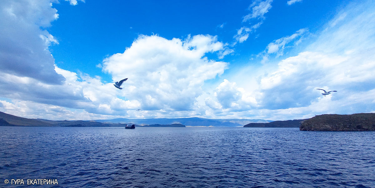 Байкал лето вода птицы остров