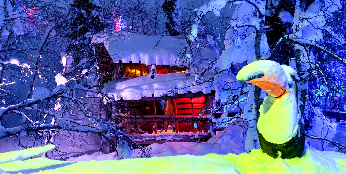 Кировск таинственный лес зима подсветка фото
