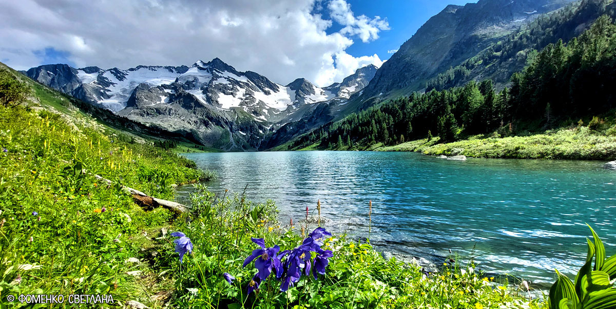 Алтай Поперечное озеро водосборы цветы