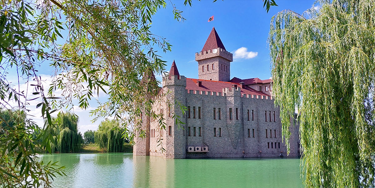 Замок Шато-Эркен озеро ивы фото