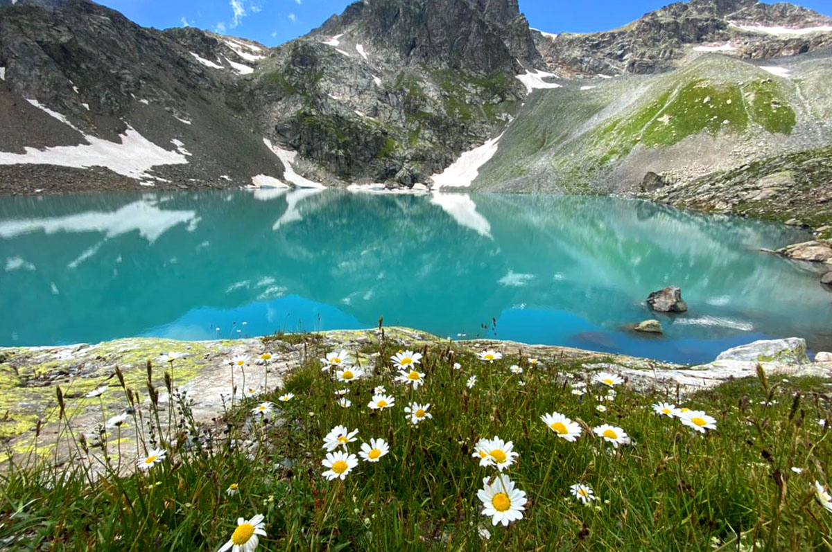 КЧР Архыз Софийское озеро лето июль зелёная вода ромашки