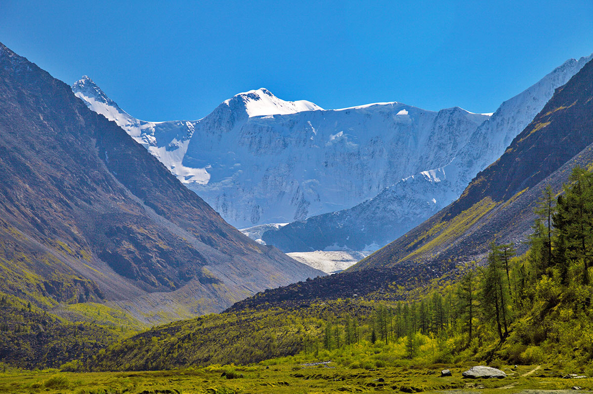 Алтай гора Белуха снег лес лето