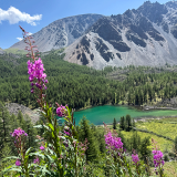 Горный лагерь на Алтае Актру фото 106