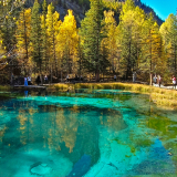 Кольцевой тур на Алтай фото 83