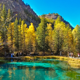 Кольцевой тур на Алтай фото 84