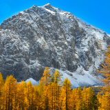 Кольцевой тур на Алтай фото 94