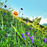 Поход на Алтай Шавлинские озера 4