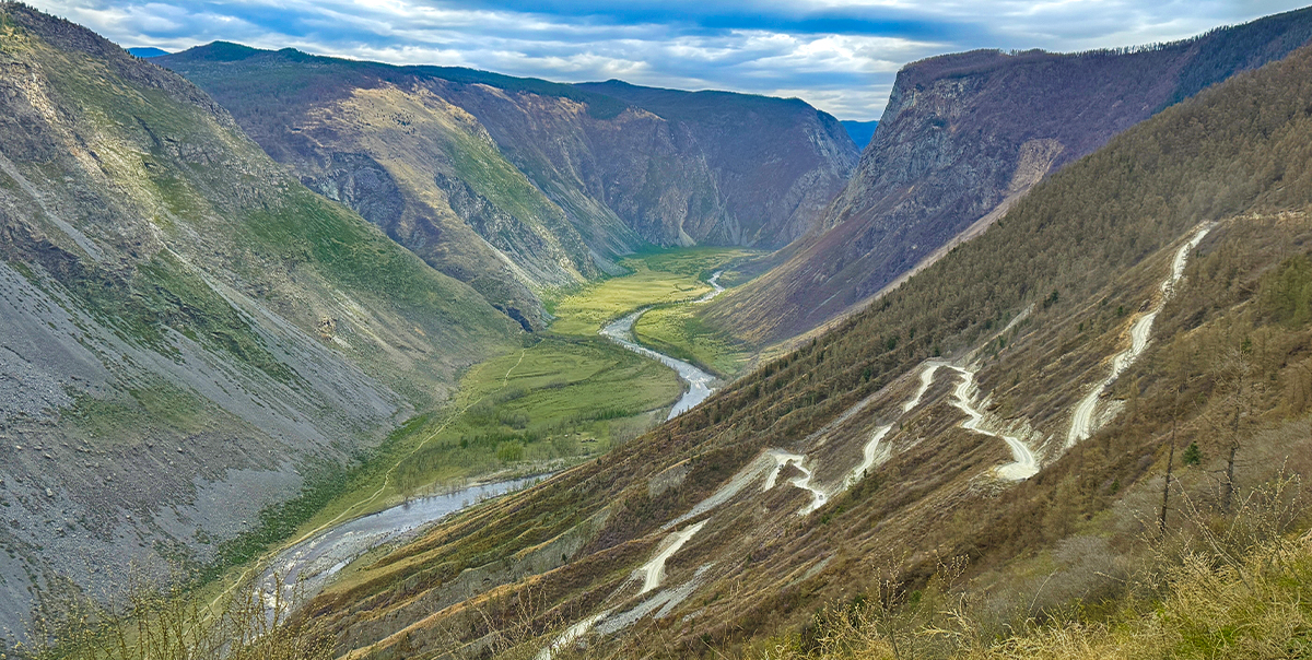 Тур цветение маральника Алтай фото 8