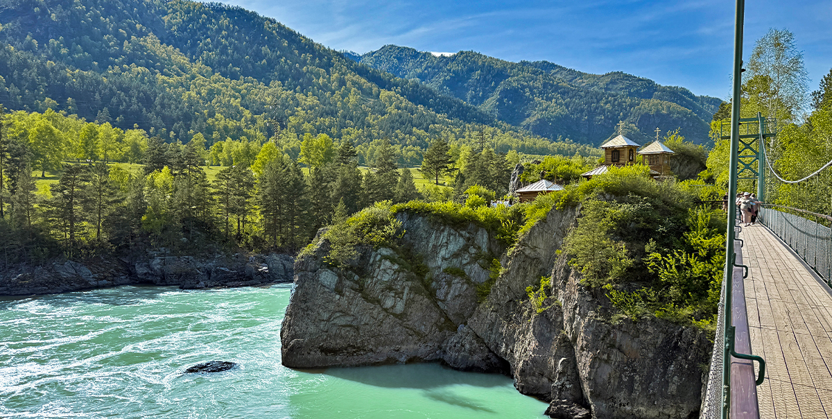 Тур цветение маральника Алтай фото 4
