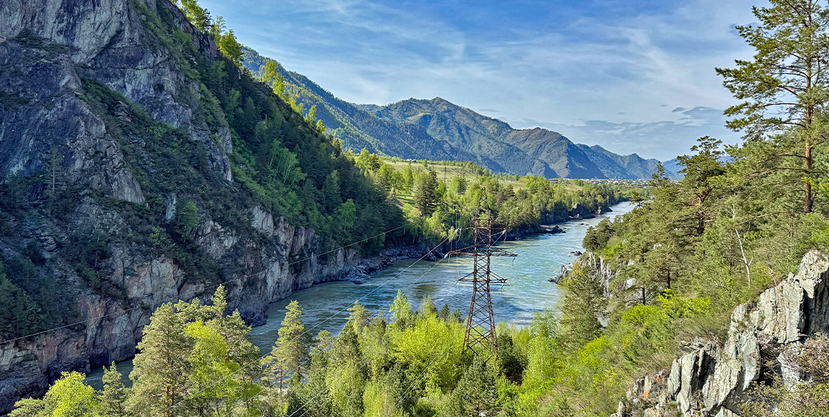 Тур цветение маральника Алтай фото 3