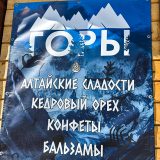 Цветение маральника на Алтае. Майские в сиреневых горах.