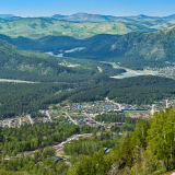 Цветение маральника на Алтае. Майские в сиреневых горах.