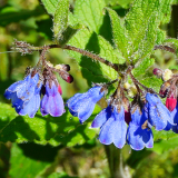 Тур в Архыз с гостиницей фото 10