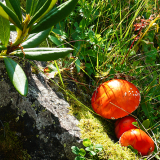 Тур в Архыз с гостиницей фото 11