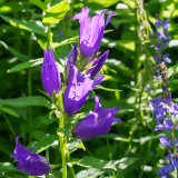 Тур в Архыз с гостиницей фото 15