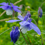 Тур в Архыз с гостиницей фото 30