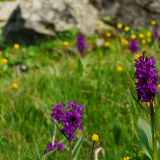 Тур в Архыз с гостиницей фото 38