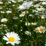 Тур в Архыз с гостиницей фото 6