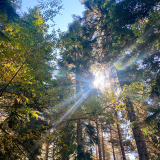 Тур в Архыз с гостиницей фото 62