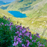 Тур в Архыз с гостиницей фото 66